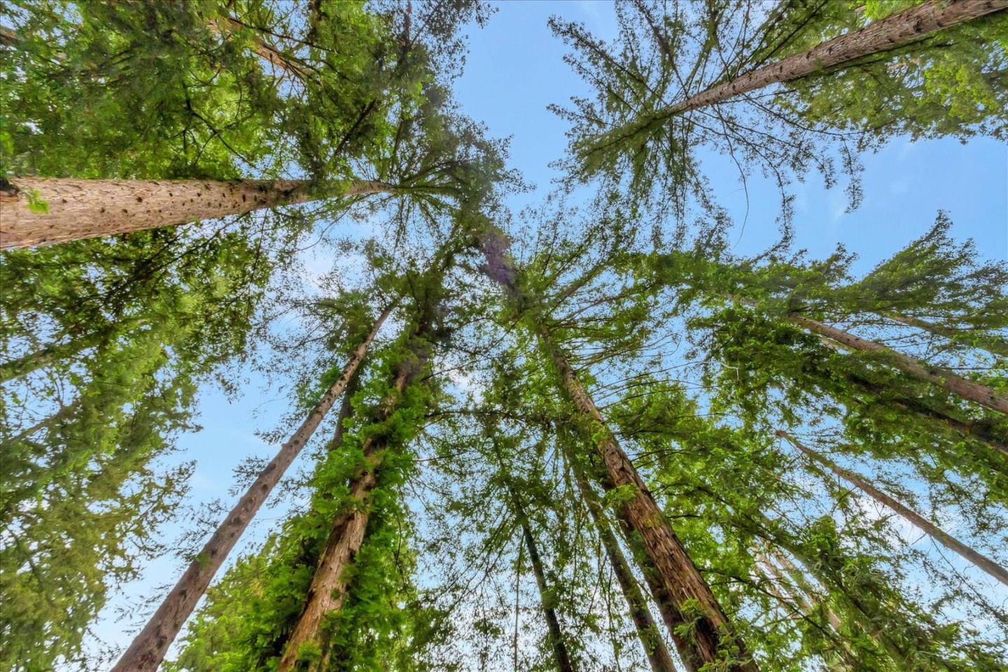 17550 Comanche Trail Los Gatos, CA 95033 - Photo 37 of 37