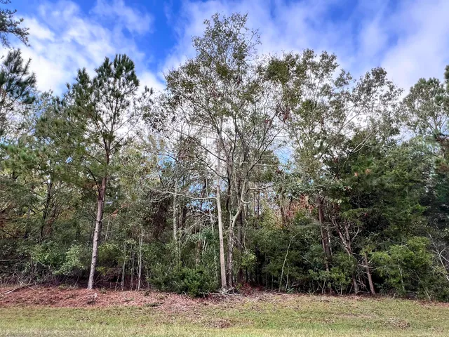 $180,000 | Lot B Ridge Road, Appling, GA 30802