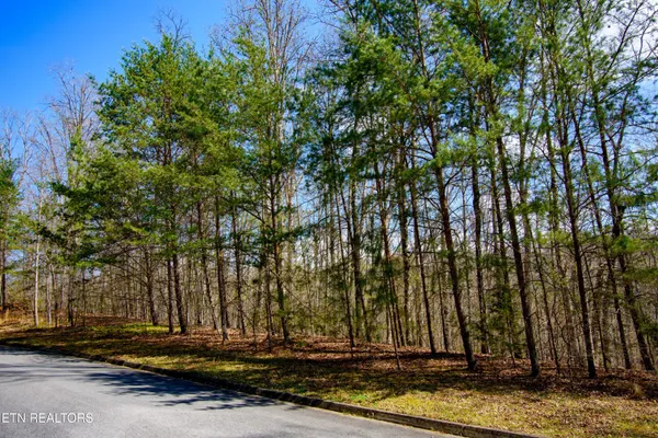 $75,000 | Turtle Dove Trail, Dandridge, TN 37725