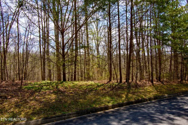 $75,000 | Turtle Dove Trail, Dandridge, TN 37725