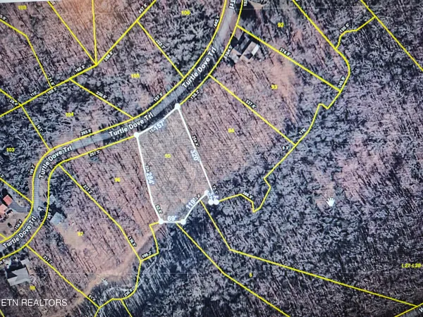 $75,000 | Turtle Dove Trail, Dandridge, TN 37725