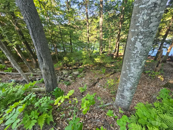 $129,000 | 10 Great Moose Drive, Hartland, ME 04943
