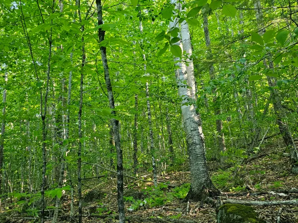 $129,000 | 10 Great Moose Drive, Hartland, ME 04943