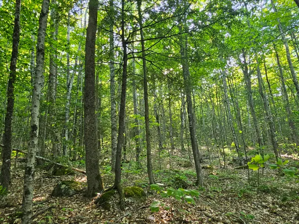 $129,000 | 10 Great Moose Drive, Hartland, ME 04943