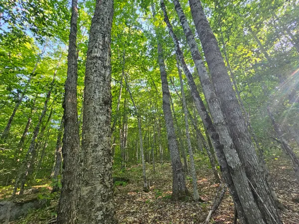 $129,000 | 10 Great Moose Drive, Hartland, ME 04943