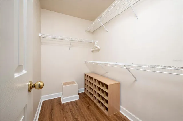 a view of a swimming pool with a yard and plants