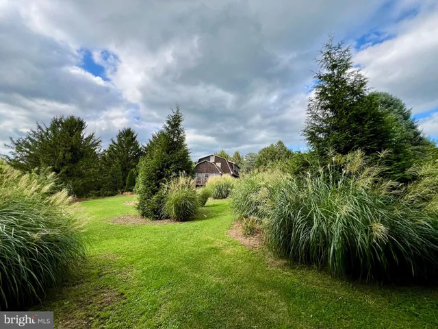 a view of a big yard with plants and a garden