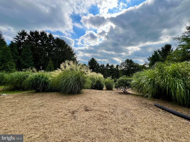 a view of a plants with a garden