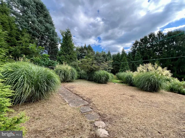 a view of a plants and a yard