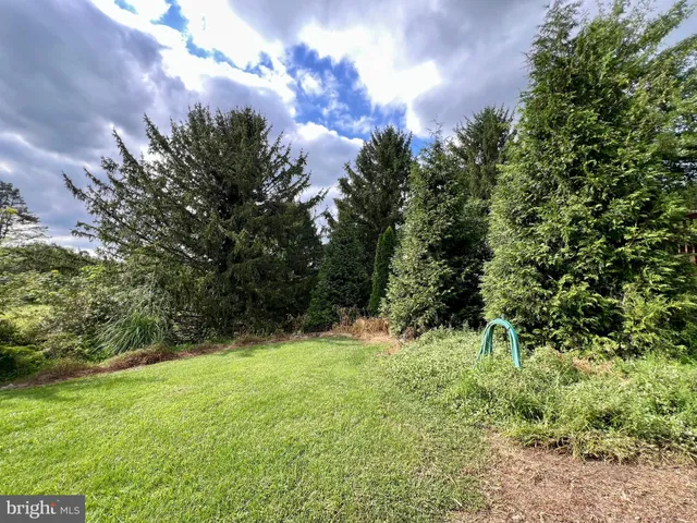 a view of a yard with a tree