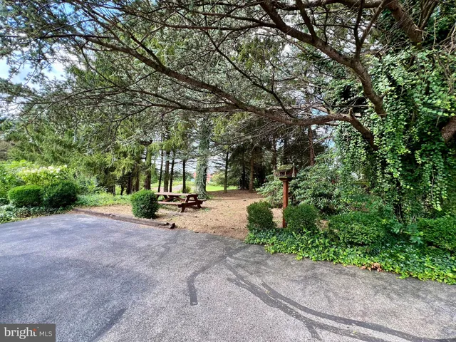 a view of a park with plants and trees