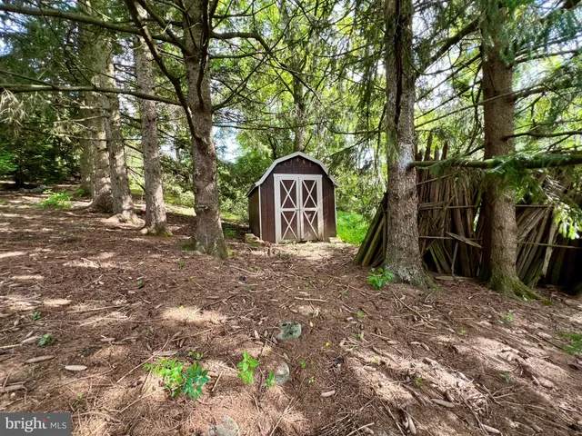 a view of a large tree in front of a house