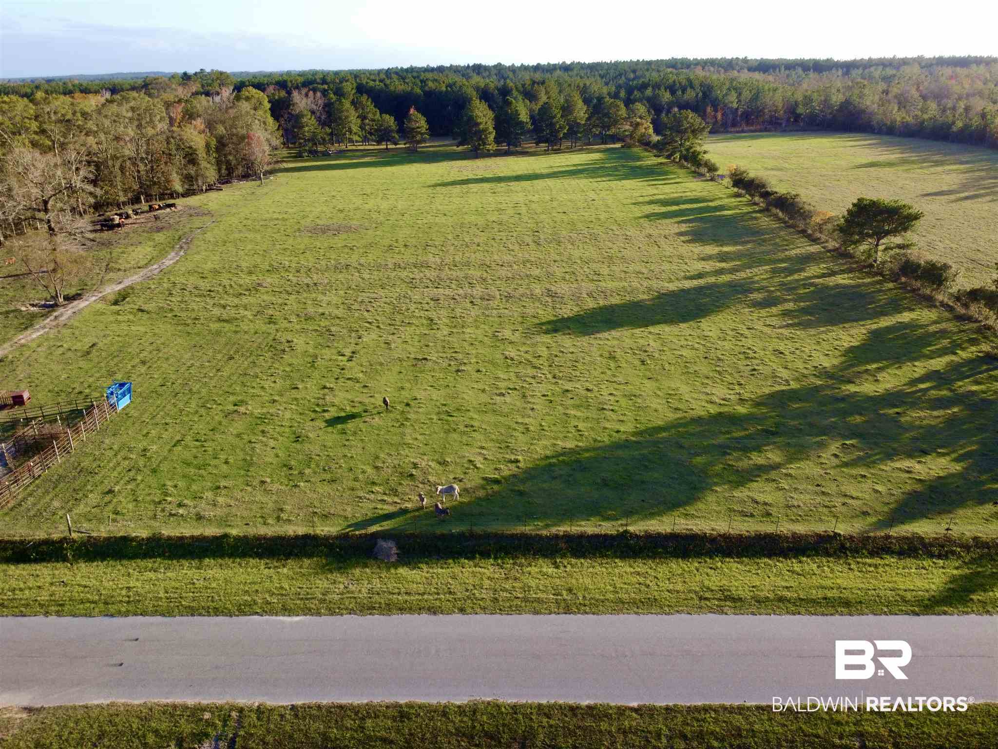 0 Country Road Fruitdale, AL 36539 - Photo 10 of 47