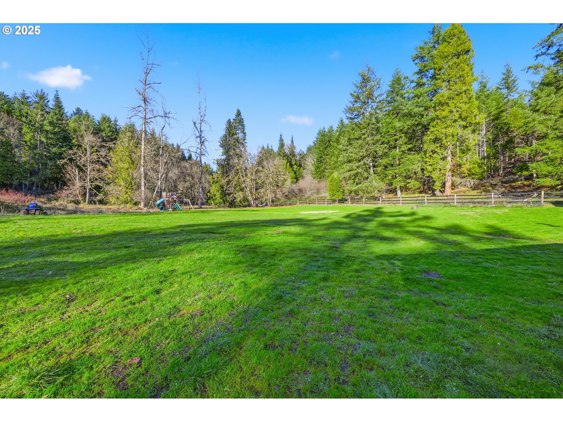 39557 Little Fall Creek Road Fall Creek, OR 97438 - Photo 33 of 43 a view of a field with a tree