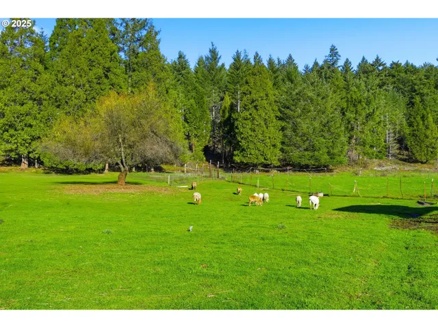 a view of a swimming pool with lawn chairs under an umbrella