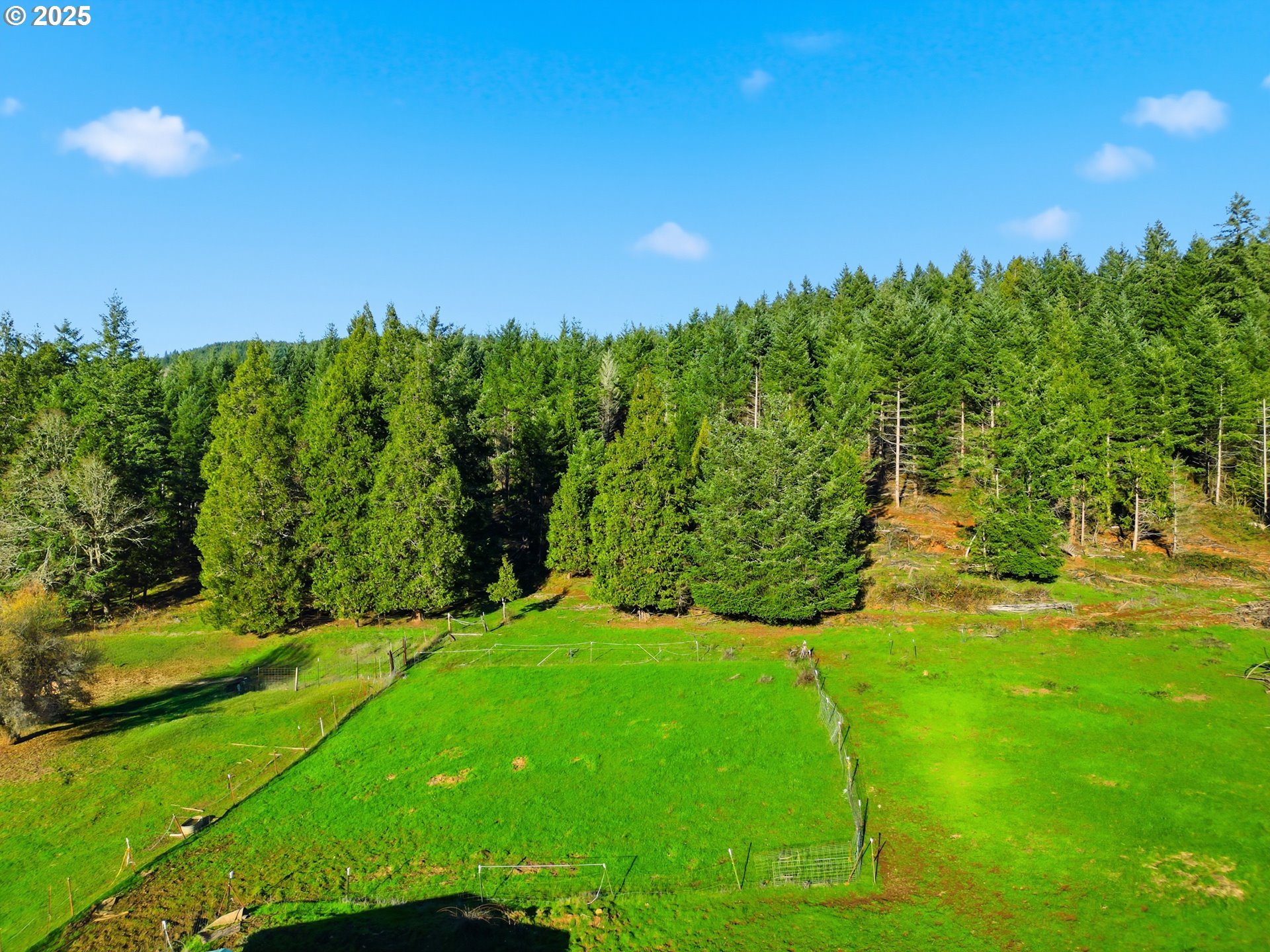 39557 Little Fall Creek Road Fall Creek, OR 97438 - Photo 41 of 43 a backyard of a house with lots of green space