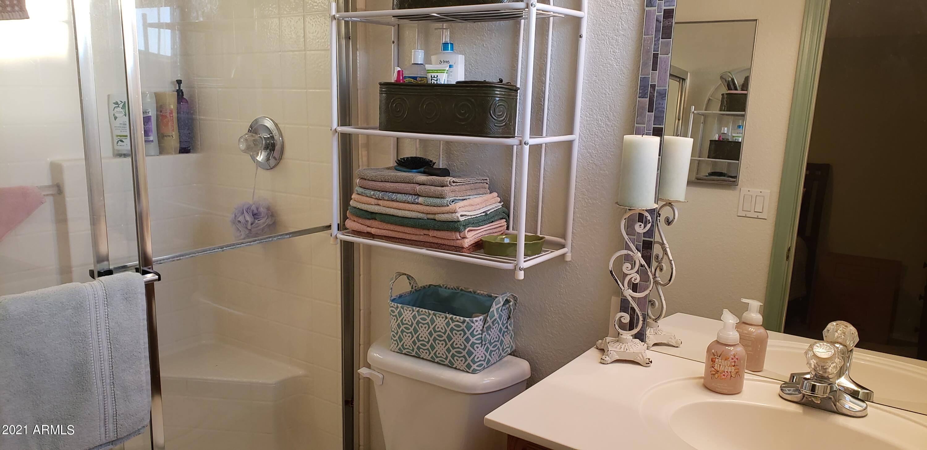 17606 North 17th Place, Unit 1033 Phoenix, AZ 85022 - Photo 11 of 23 master bath 1