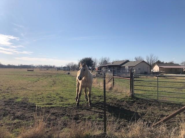 9061 Crow Wright Road Sanger, TX 76266 - Photo 2 of 37