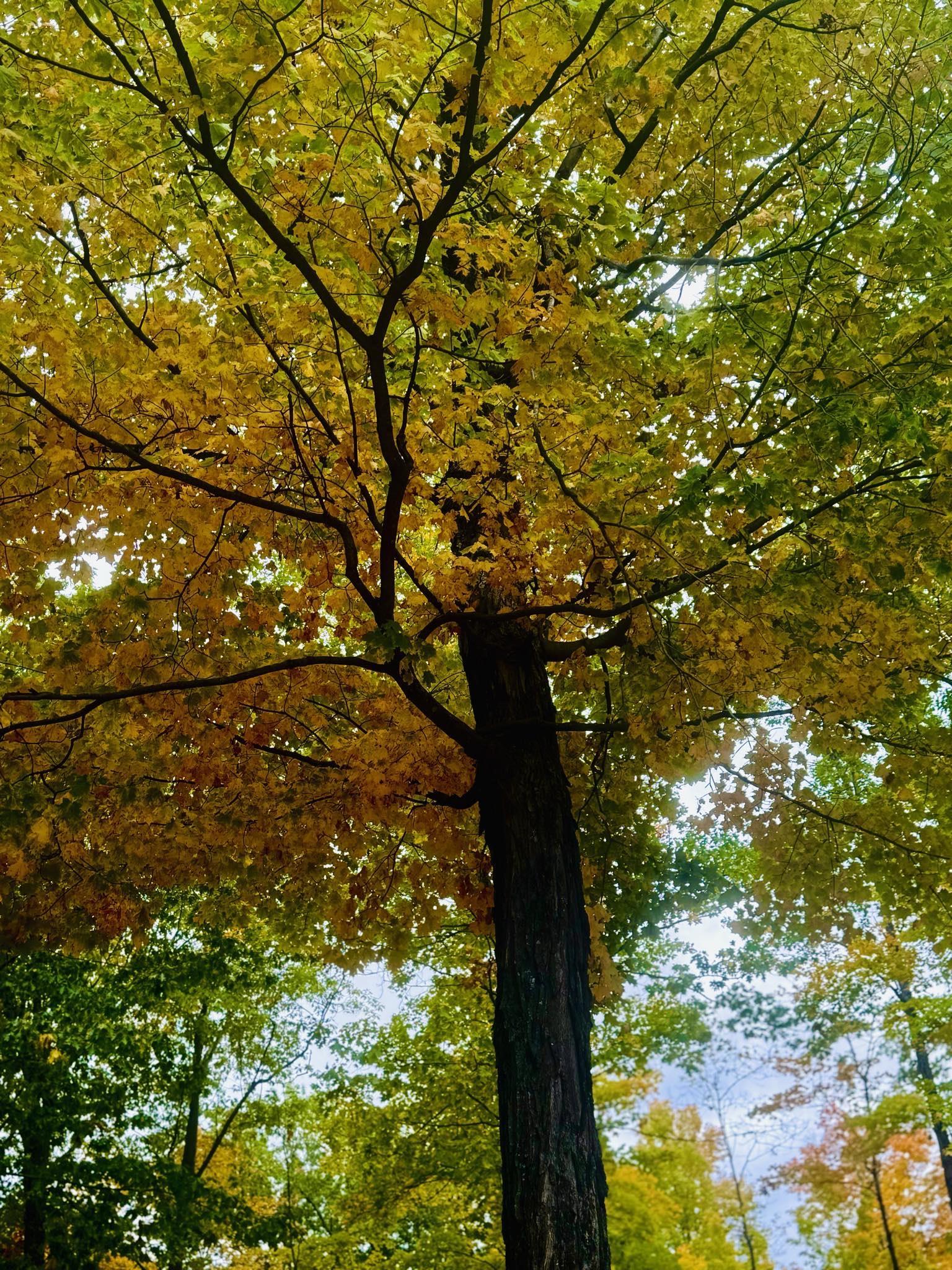 N7853 Noquebay Road Crivitz, WI 54114 - Photo 69 of 82