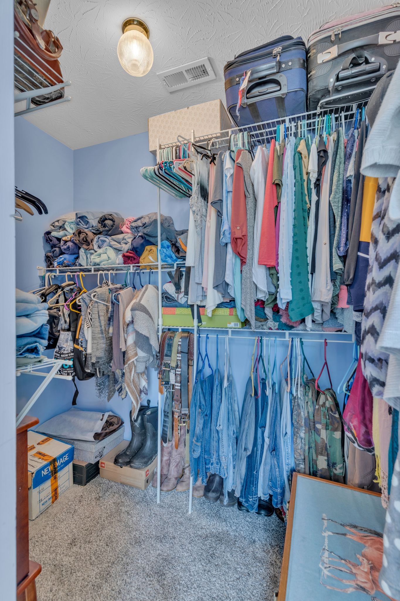 1584 Errel Dowlen Road Pleasant View, TN 37146 - Photo 21 of 28 a view of walk in closet with clothes