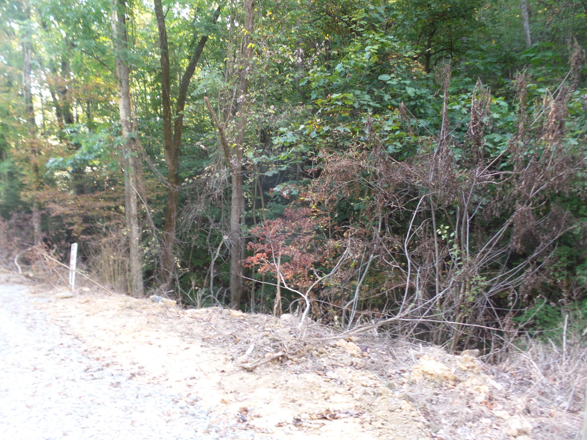 Lot 5 Leedham Road, Unit 5 Johnson City, TN 37601 - Photo 1 of 10 20170921_180106