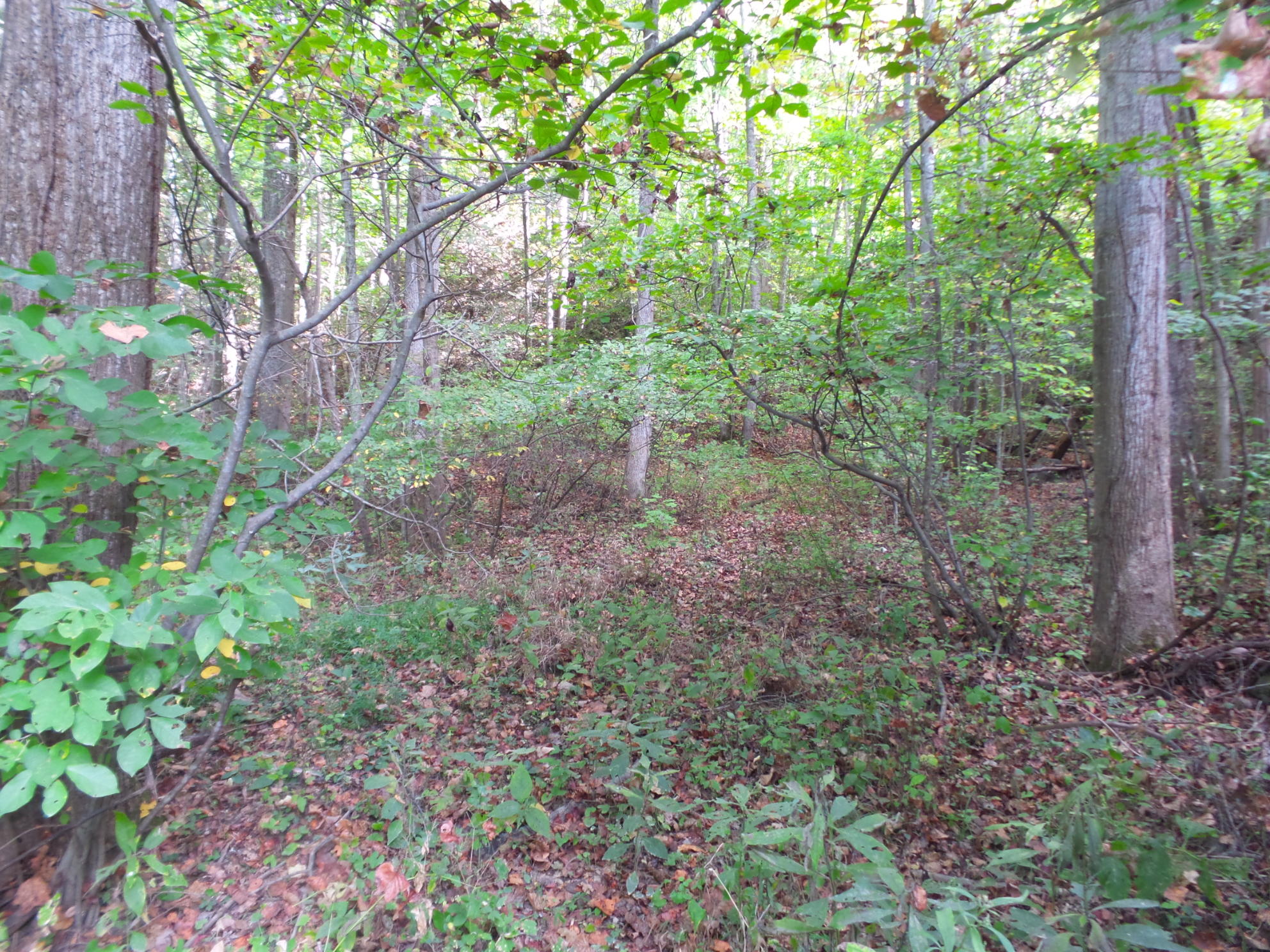 Lot 5 Leedham Road, Unit 5 Johnson City, TN 37601 - Photo 3 of 10 20171003_105051