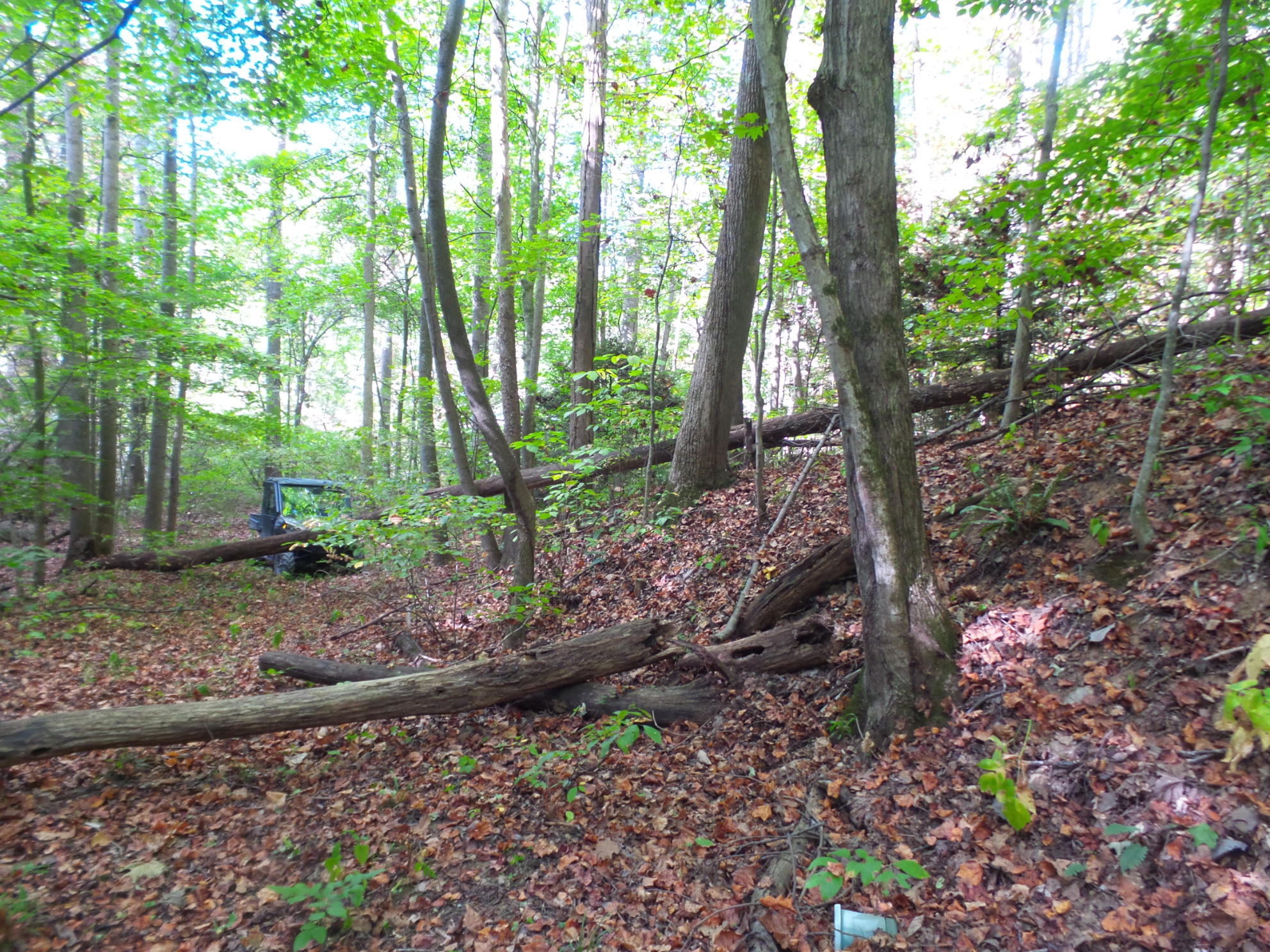 Lot 5 Leedham Road, Unit 5 Johnson City, TN 37601 - Photo 4 of 10 20171003_105858