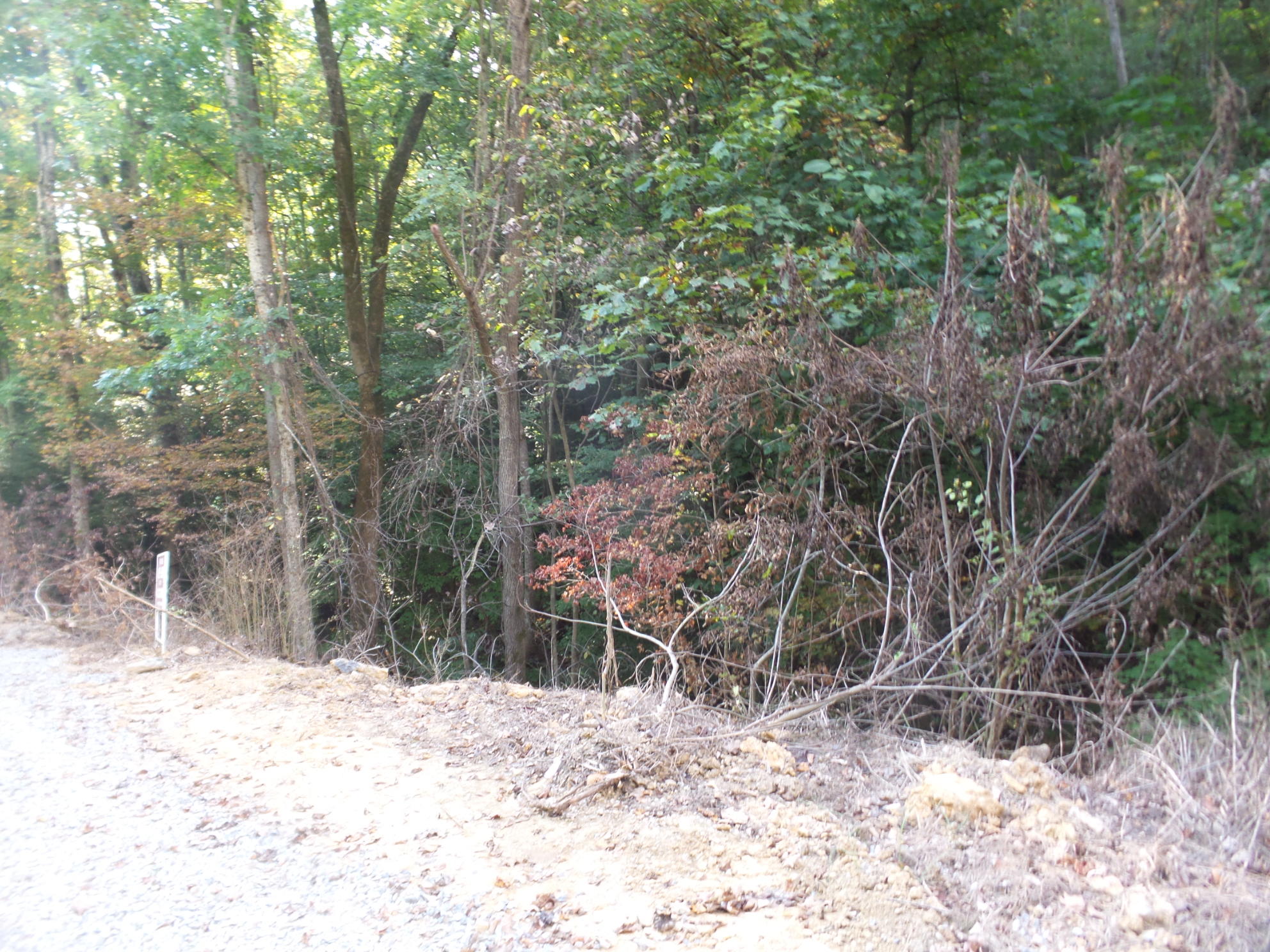 Lot 5 Leedham Road, Unit 5 Johnson City, TN 37601 - Photo 7 of 10 20170921_180108