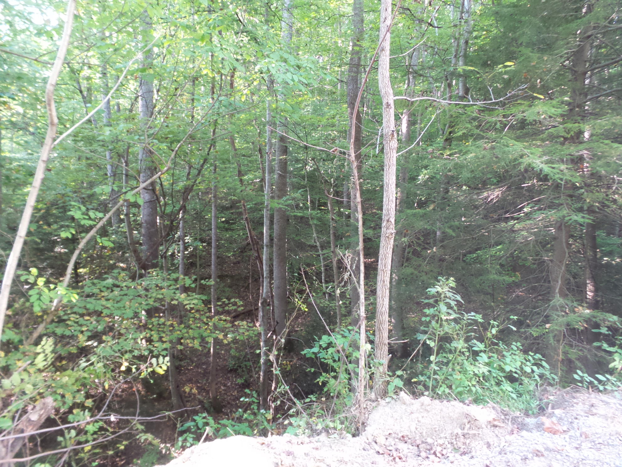 Lot 5 Leedham Road, Unit 5 Johnson City, TN 37601 - Photo 10 of 10 20170921_180154