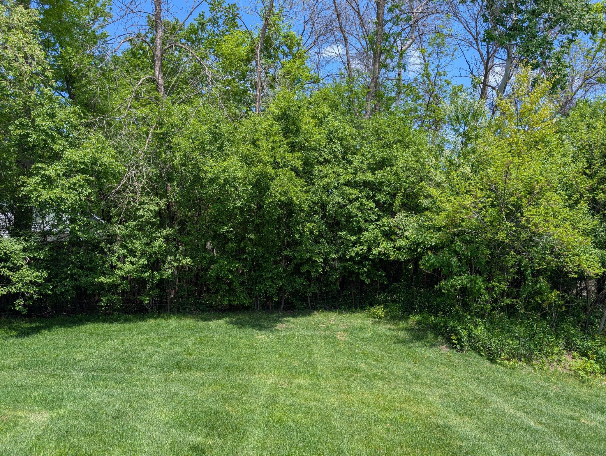 6230 Boulder Ridge Drive Rockford, MN 55373 - Photo 20 of 21