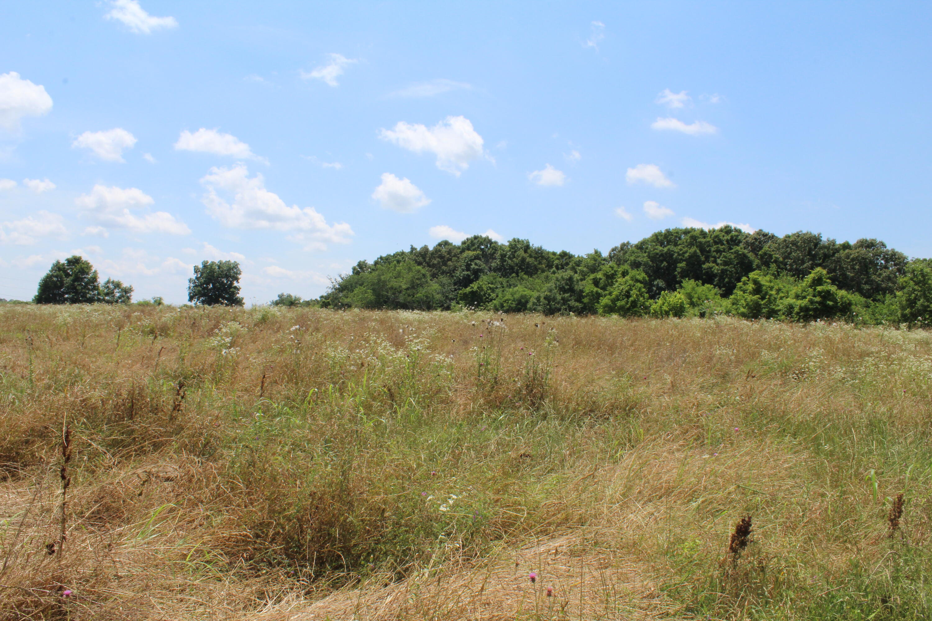 361 Etowah Road Reliance, TN 37369 - Photo 14 of 18 IMG_8988