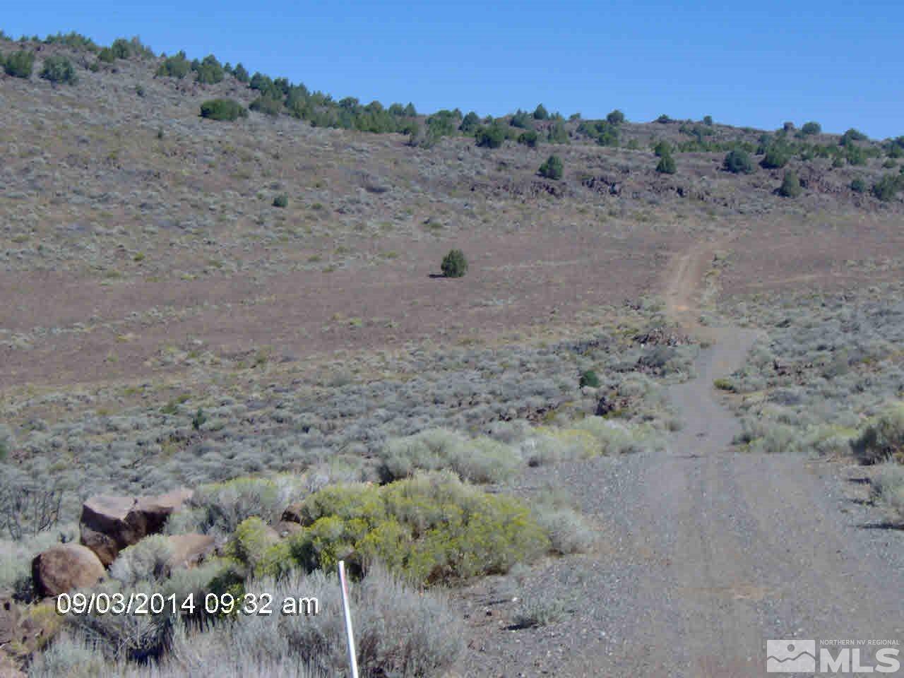 143 S Sheridan, Unit 143S Reno, NV 89521 - Photo 3 of 5 a view of a dry field with lots of bushes
