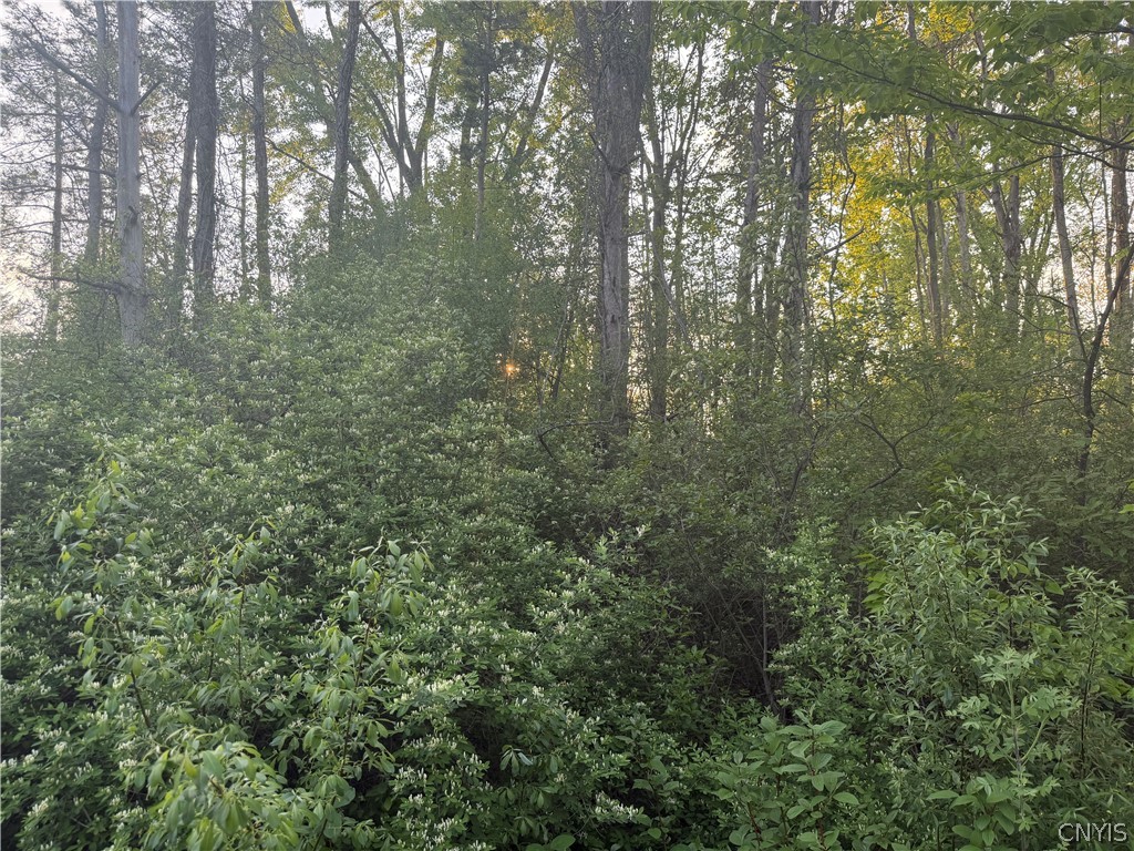 Miner Road Chittenango, NY 13037 - Photo 15 of 19