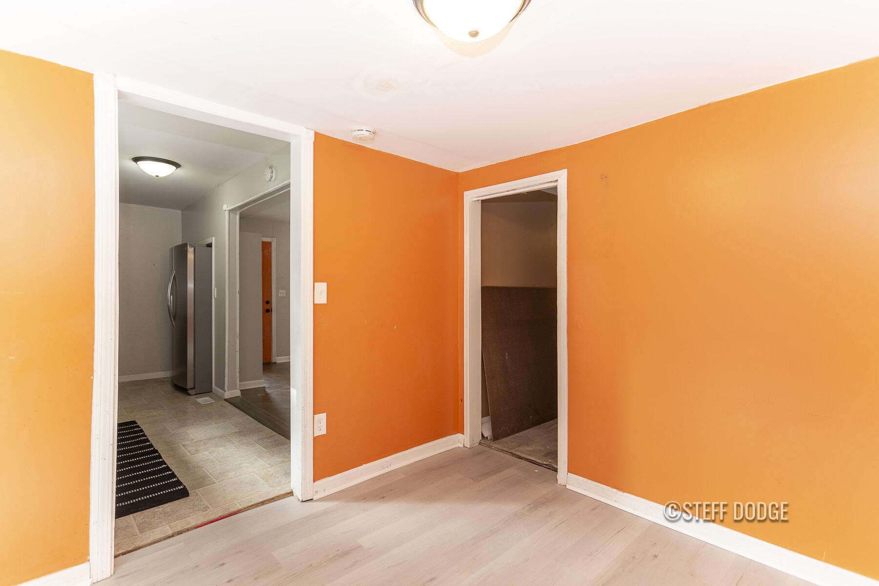 408 Lewis Street Belding, MI 48809 - Photo 17 of 52 408 Lewis St. Belding_47