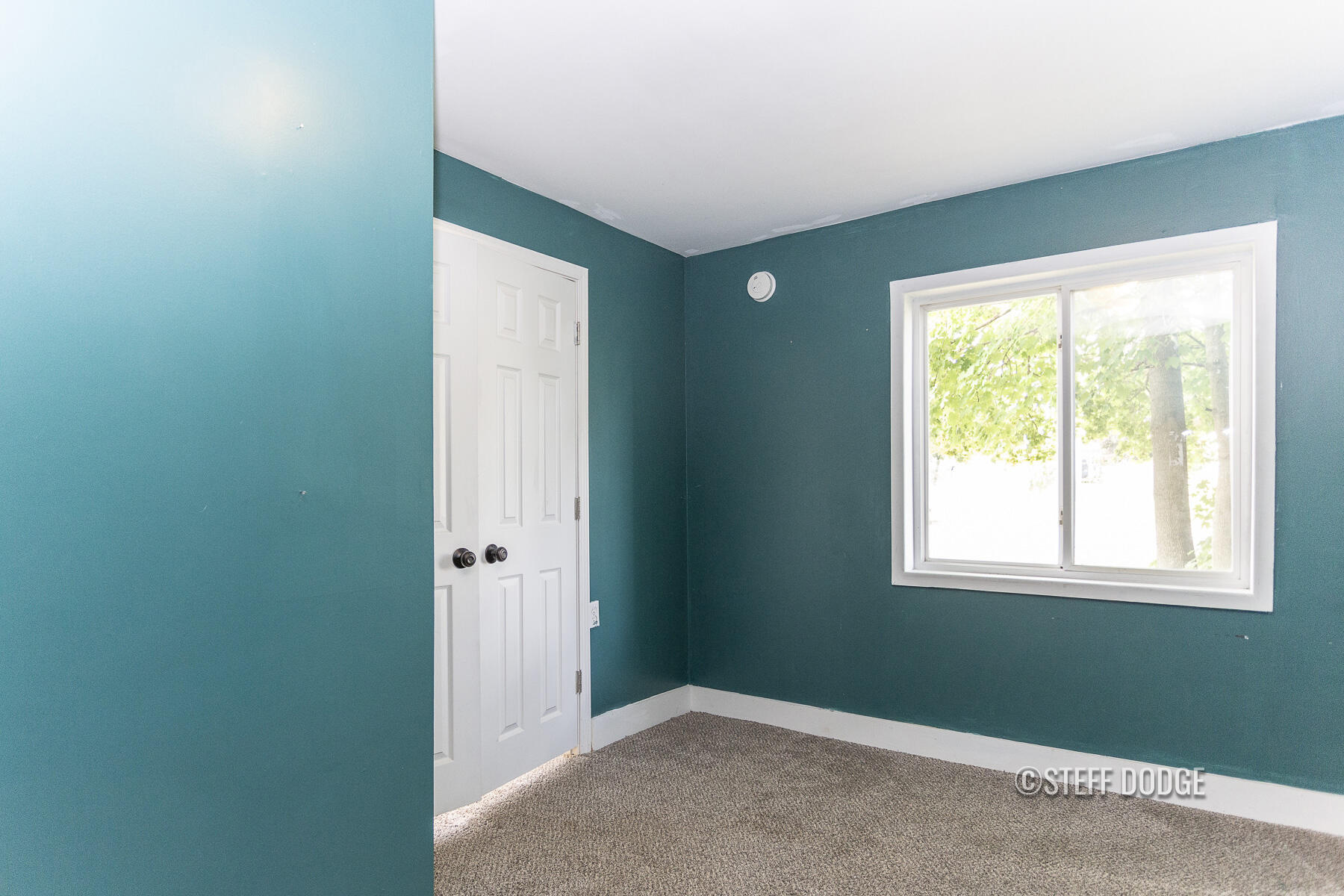 408 Lewis Street Belding, MI 48809 - Photo 28 of 52 408 Lewis St. Belding_21