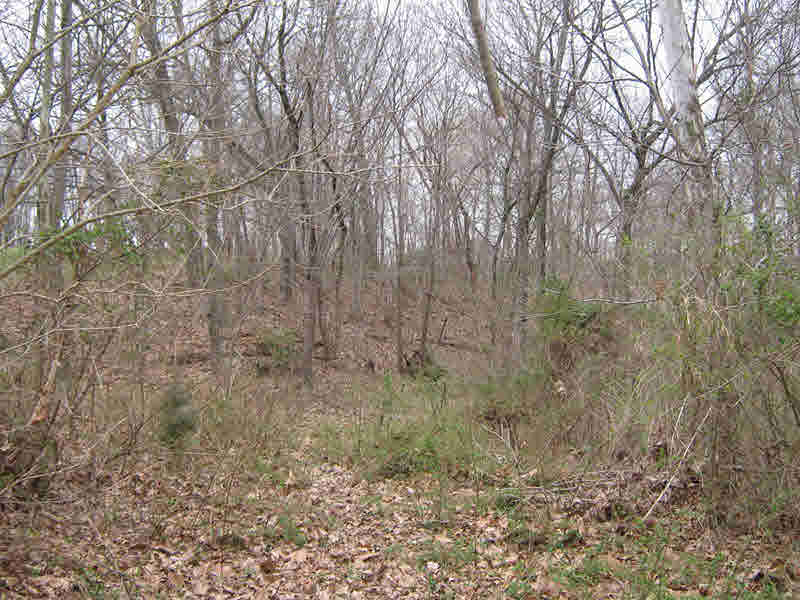 8071 East Richview Road Mount Vernon, IL 62864 - Photo 18 of 24
