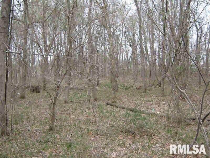 8071 East Richview Road Mount Vernon, IL 62864 - Photo 19 of 24