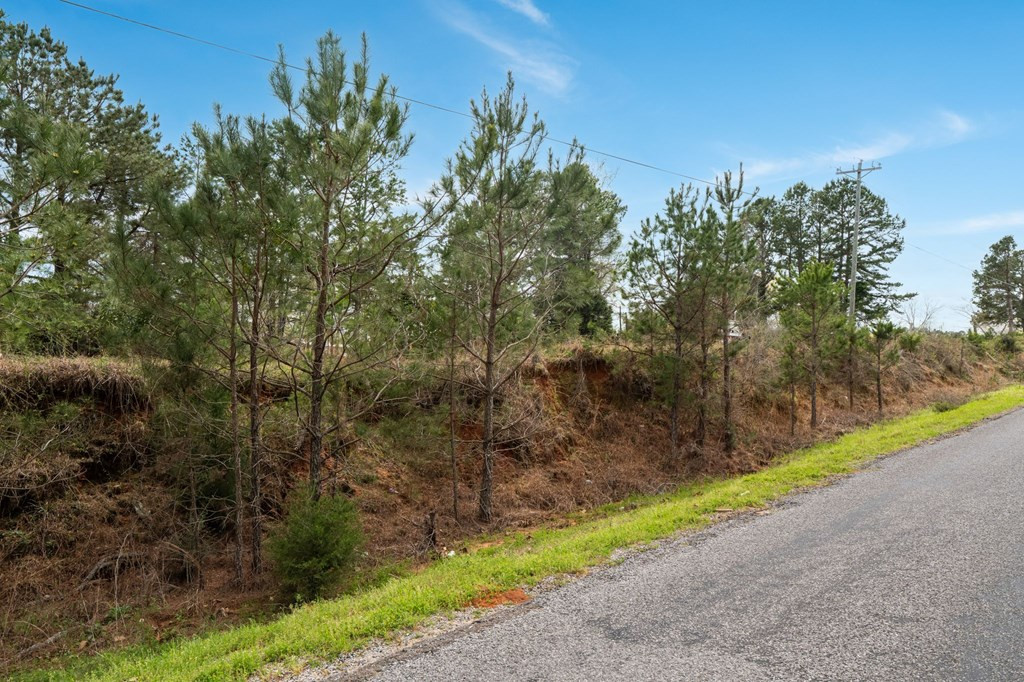 4 Co Road Pachuta, MS 39347 - Photo 3 of 5 Photo 3