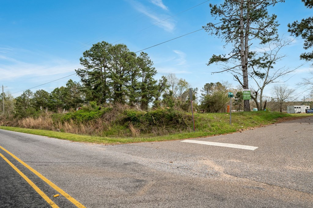 4 Co Road Pachuta, MS 39347 - Photo 4 of 5 Photo 4
