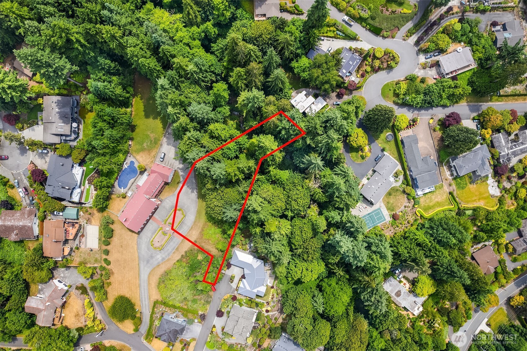 8036 Cyrus Place Edmonds, WA 98026 - Photo 14 of 16 a picture of flowers