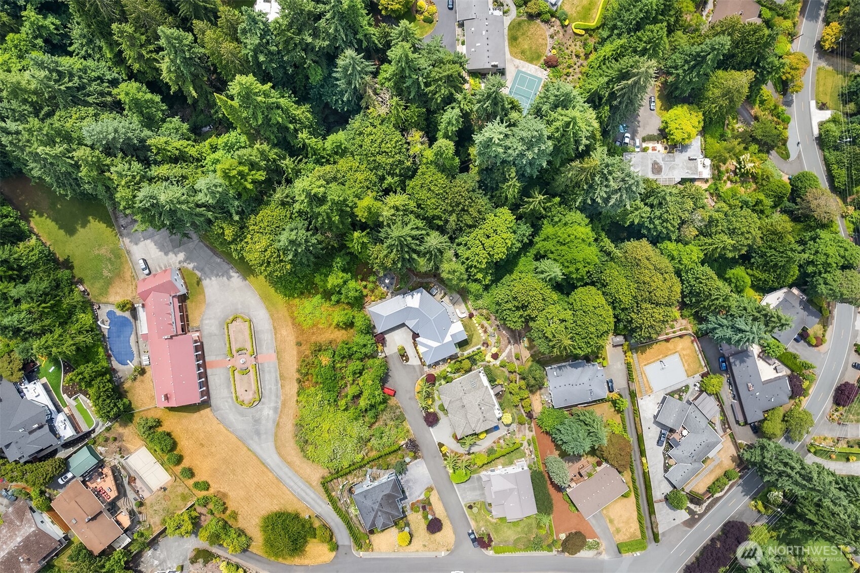 8036 Cyrus Place Edmonds, WA 98026 - Photo 2 of 16 a picture of plants