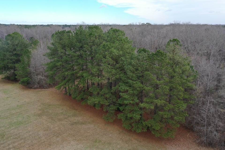 1481 Wade Patrick Road Brandon, MS 39042 - Photo 16 of 21 Photo 16