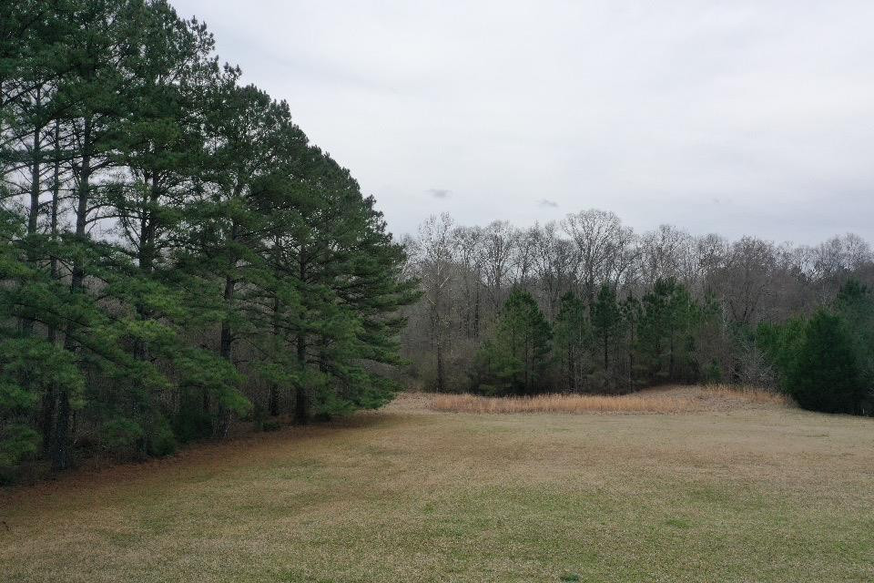1481 Wade Patrick Road Brandon, MS 39042 - Photo 17 of 21 Photo 17