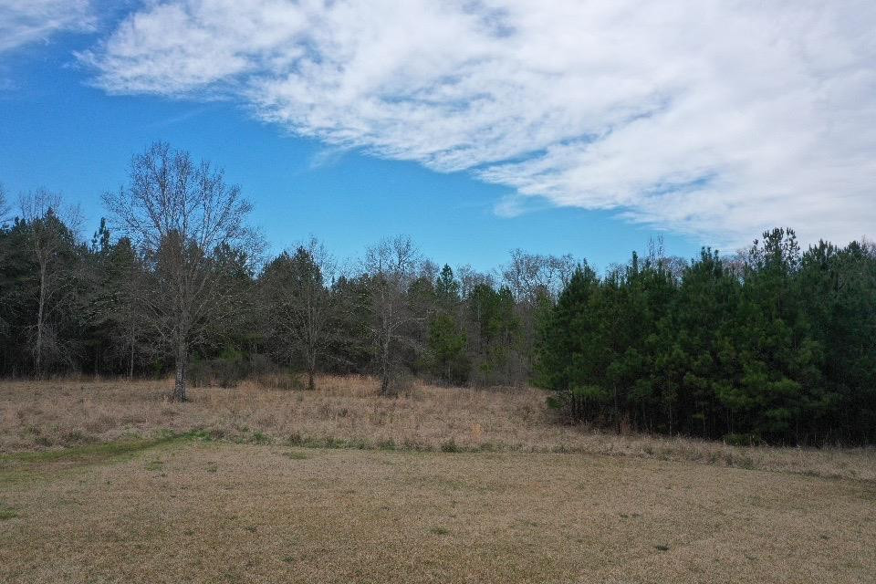 1481 Wade Patrick Road Brandon, MS 39042 - Photo 7 of 21 Photo 7