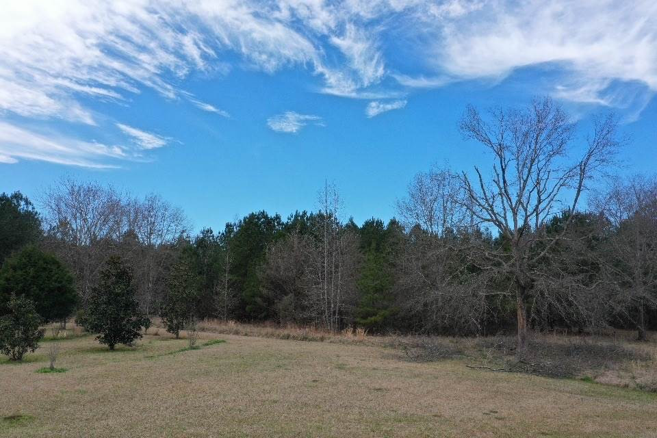 1481 Wade Patrick Road Brandon, MS 39042 - Photo 8 of 21 Photo 8