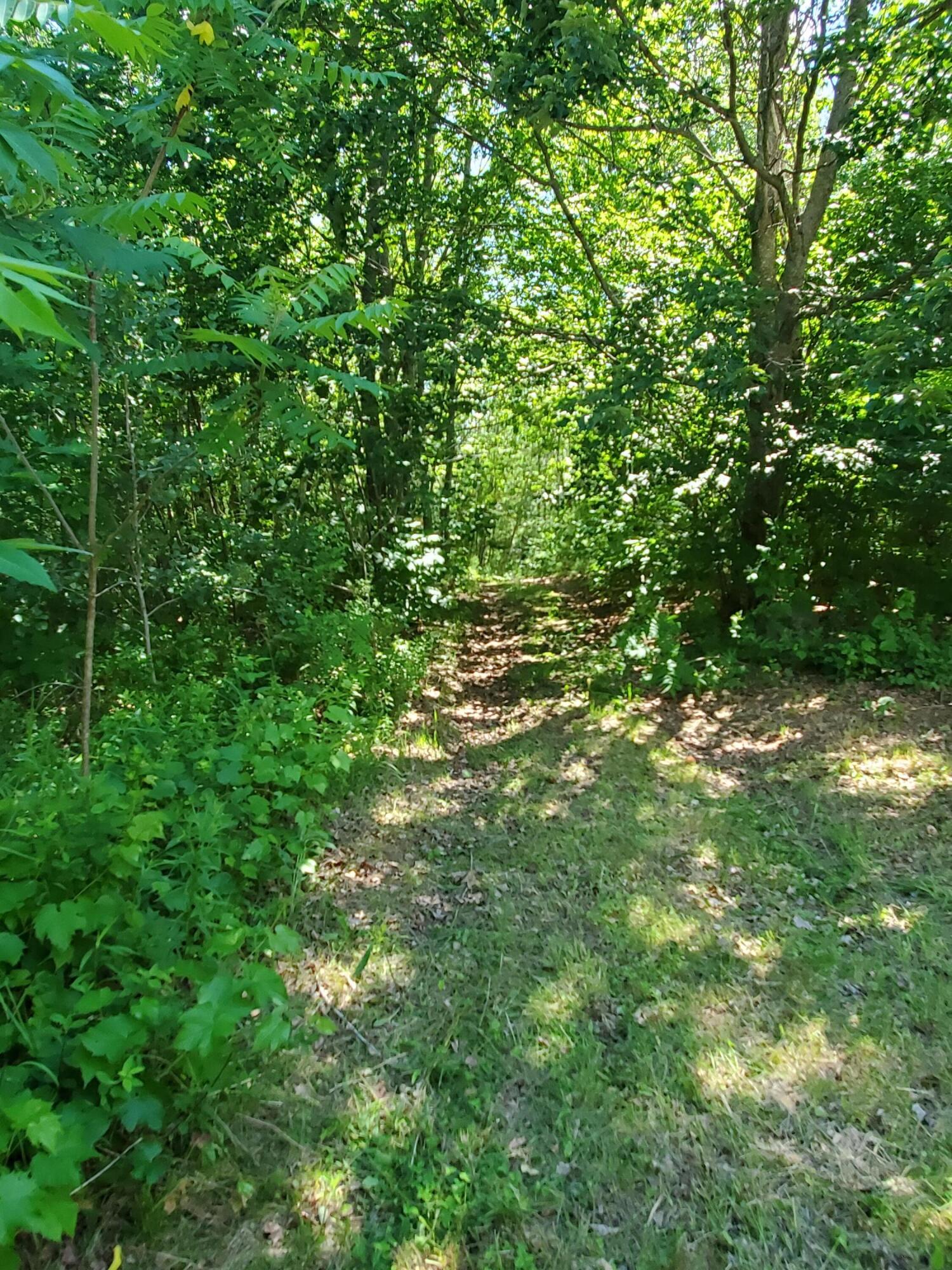 593 Bishop Hill Road Leeds, ME 04263 - Photo 48 of 62 20210617_145618