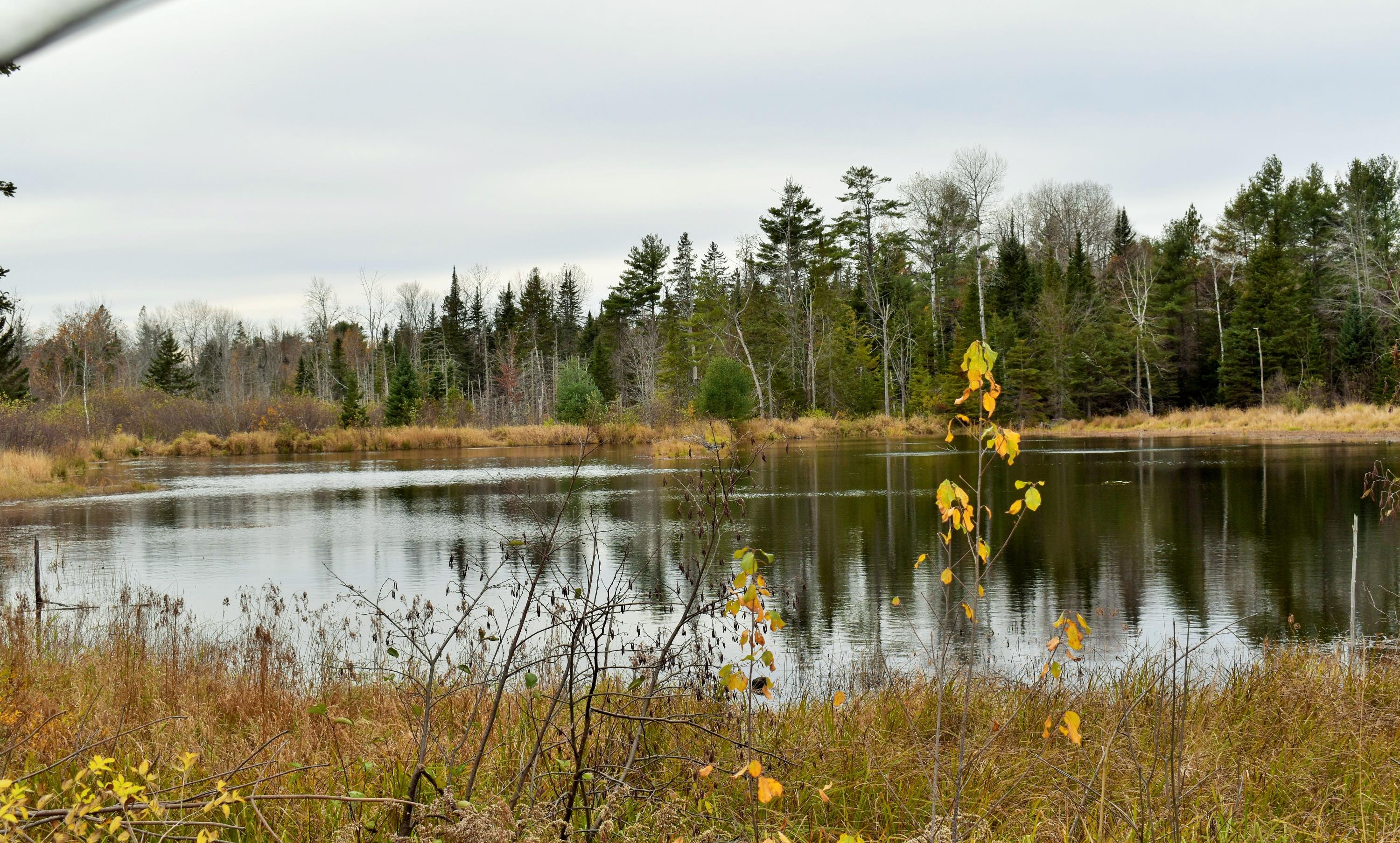 44 Exeter Road Stetson, ME 04488 - Photo 3 of 18 2