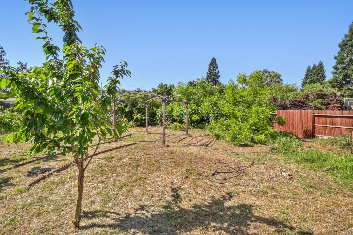 1875 Sycamore Street Gridley, CA 95948 - Photo 55 of 80