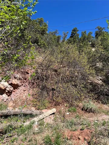 a view of a tree with a yard