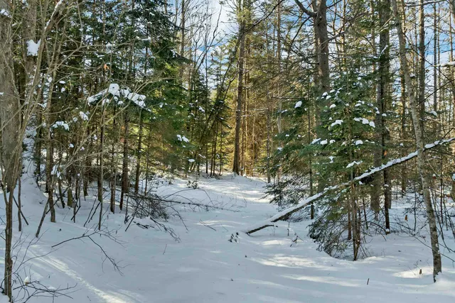$62,000 | Nichols Road, Dalton, NH 03598